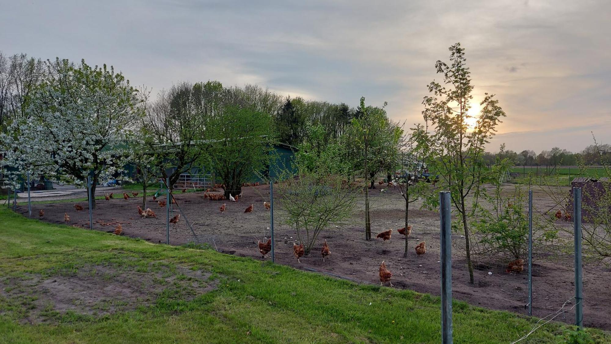 Appartamento Huehnerhof-Roehrs Schneverdingen Esterno foto