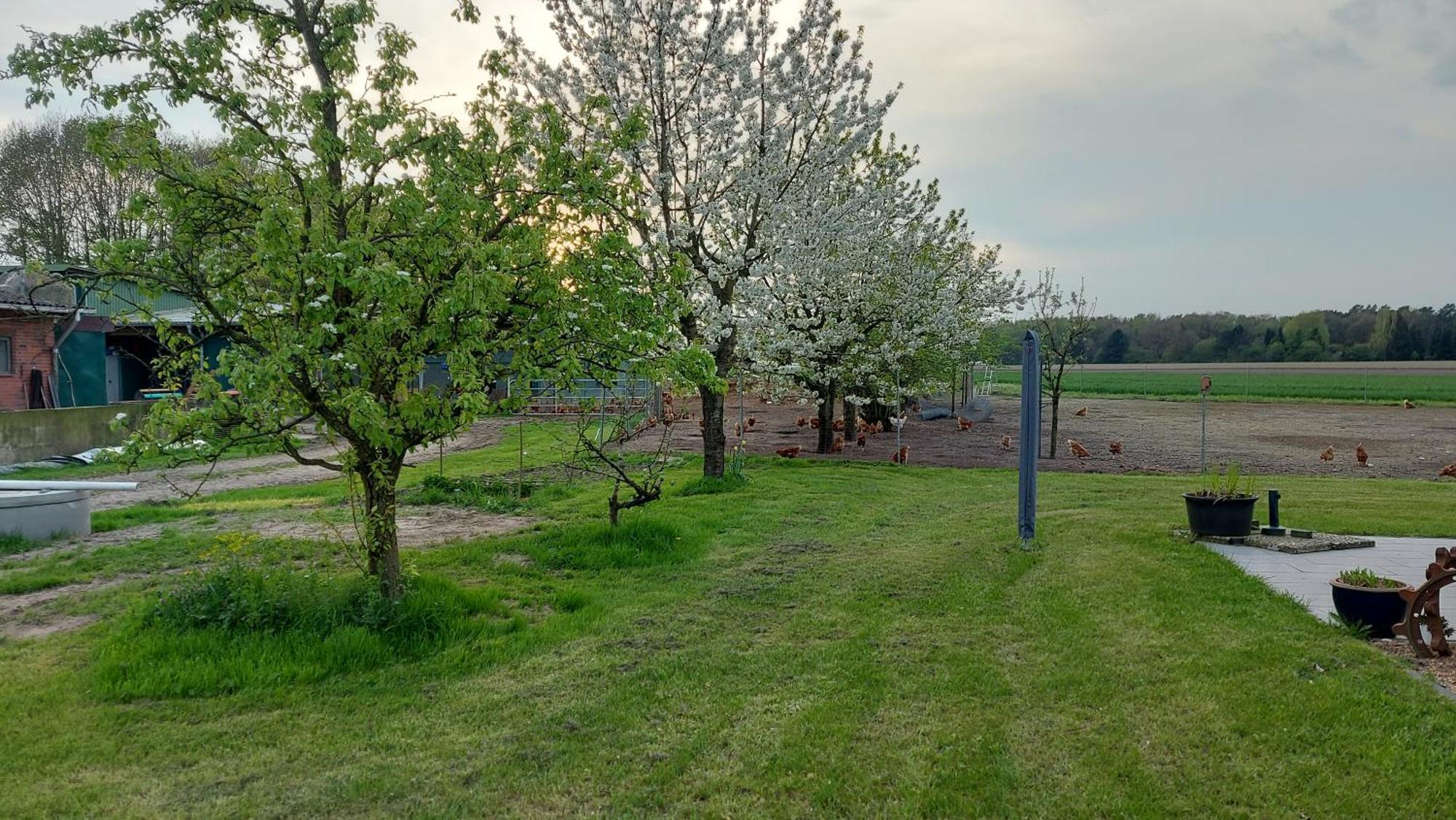 Appartamento Huehnerhof-Roehrs Schneverdingen Esterno foto
